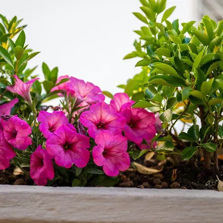 Dimora Dei Desideri Holiday home *